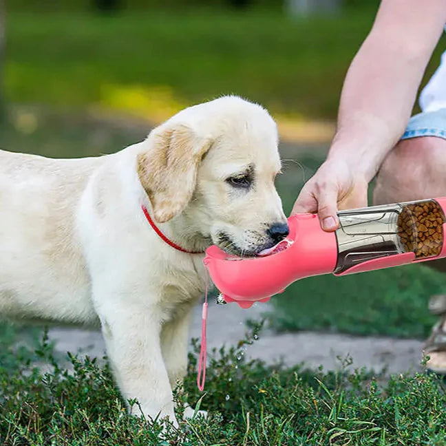Honden Waterfles