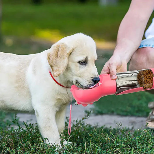 Honden Waterfles